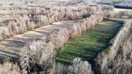 Property for sale in Hardeman County, Tennessee