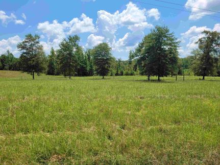 Recreational Property for sale in Chambers County, Alabama