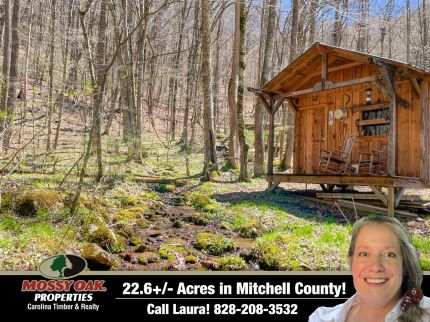 Property in Mitchell County, North Carolina