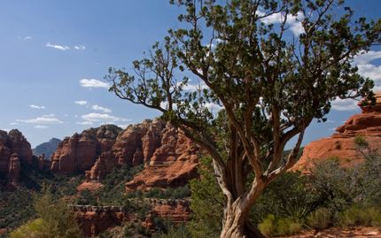 Property for sale in Kern County, California