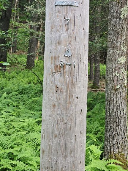 Undeveloped Land for sale in Sullivan County, New York