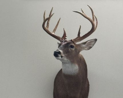 Property for sale in Union County, Illinois