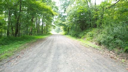 Timberland Property for sale in Clearfield County, Pennsylvania