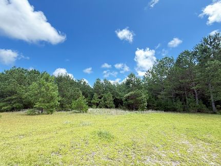Property for sale in Marion County, South Carolina