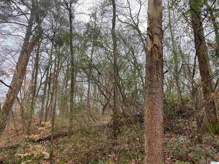 Property in Morgan County, Alabama