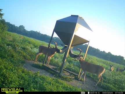 Property for sale in Elk County, Kansas