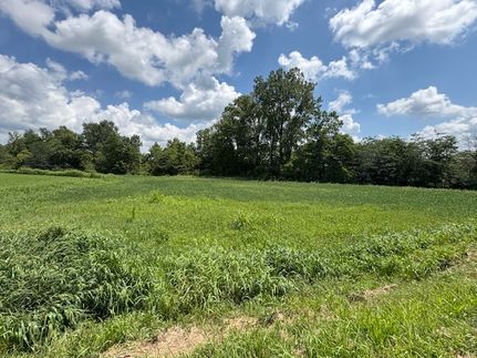 Undeveloped Land for sale in Champaign County, Ohio