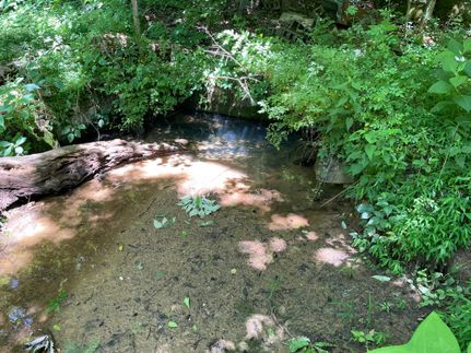 Property for sale in DeKalb County, Alabama