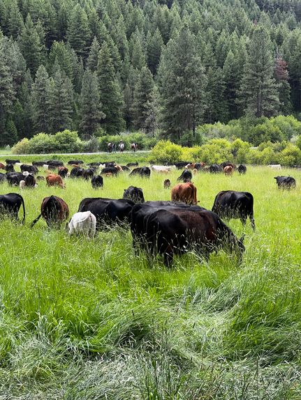 Ranch Property for sale in Grant County, Oregon