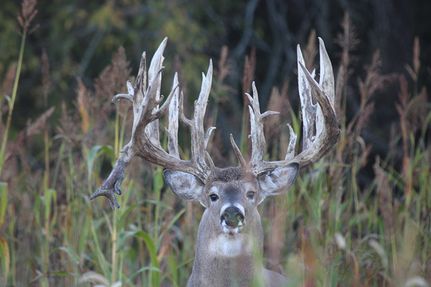 Property for sale in Jefferson County, Kansas