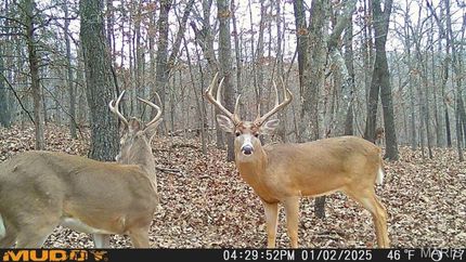 Residential Property for sale in Camden County, Missouri