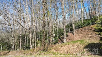 Property in Henderson County, North Carolina