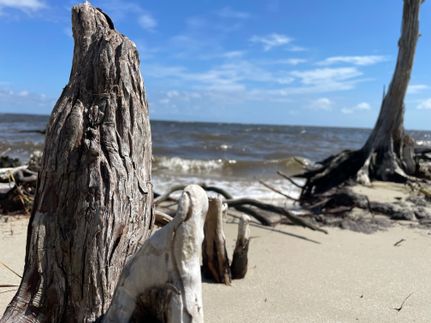 Beachfront Property for sale in Carteret County, North Carolina