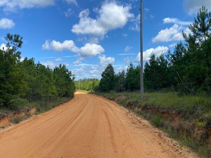 Property for sale in Washington County, Alabama