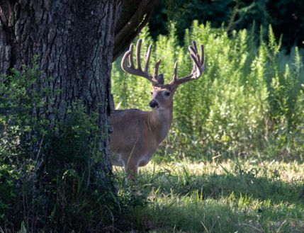 Property in Jackson County, Texas
