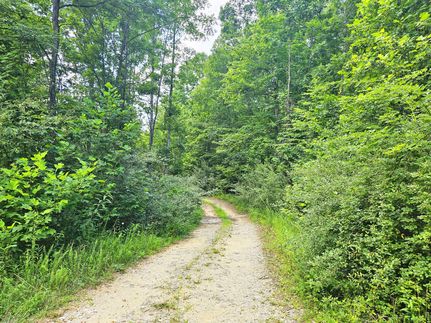 Property in Mingo County, West Virginia