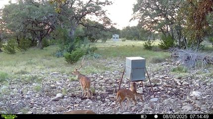 Property for sale in Sutton County, Texas