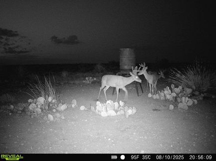 Property for sale in Val Verde County, Texas