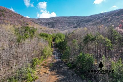 Hunting Land for sale in Scott County, Tennessee