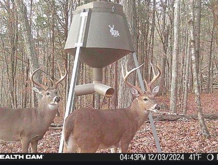 Undeveloped Land for sale in Jackson County, Alabama