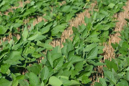 Property for sale in Osage County, Kansas