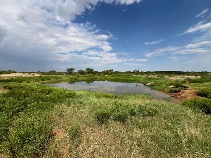 Recreational Property for sale in Mitchell County, Texas