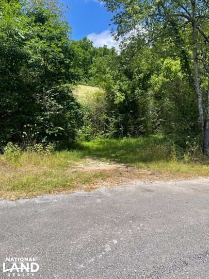 Timberland Property for sale in Cullman County, Alabama