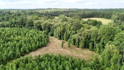Property for sale in Prentiss County, Mississippi