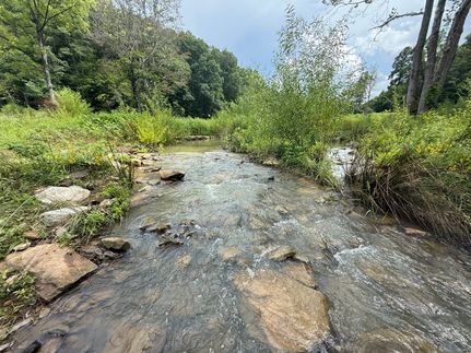 Property for sale in Morgan County, Kentucky