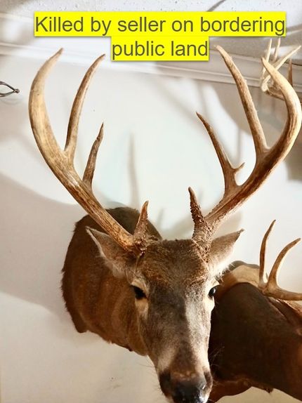 Property in Winston County, Alabama