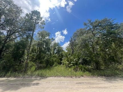 Property for sale in Gilchrist County, Florida