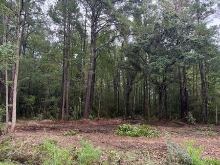 Property for sale in Charleston County, South Carolina