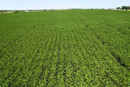 Farm Property for sale in Linn County, Missouri