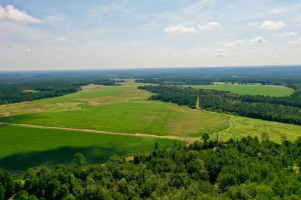 Timberland Property for sale in Ben Hill County, Georgia