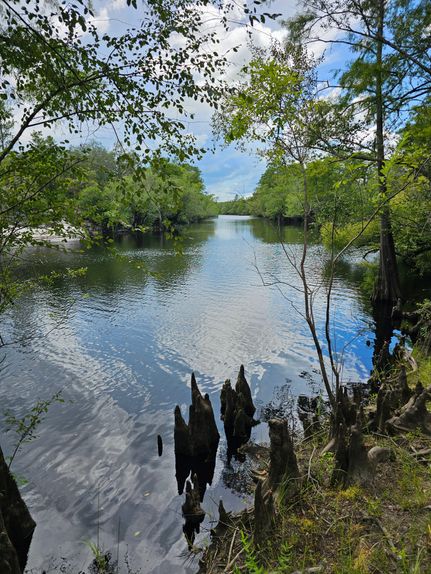 Riverfront Property for sale in Charlton County, Georgia