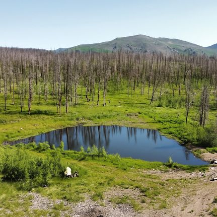 Property in Larimer County, Colorado