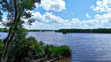 Property for sale in Henderson County, Texas