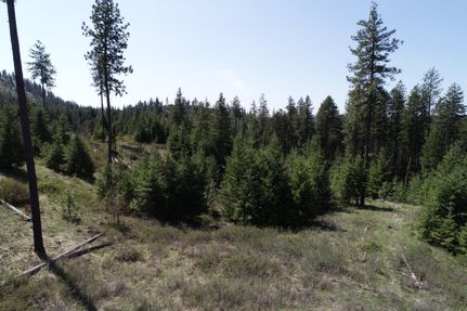 Property for sale in Stevens County, Washington