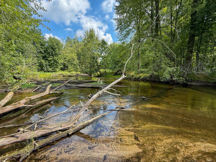 Recreational Property for sale in Montcalm County, Michigan