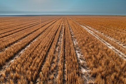 Property in Finney County, Kansas