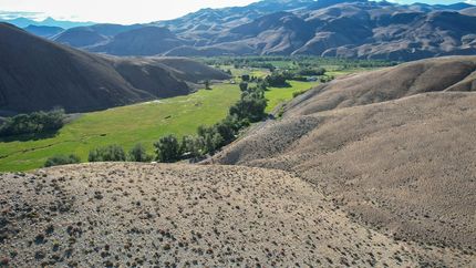 Undeveloped Land for sale in Custer County, Idaho
