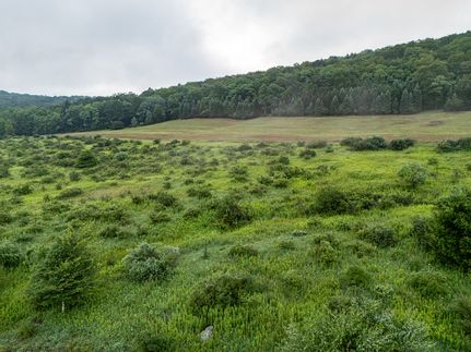 Property in Preston County, West Virginia