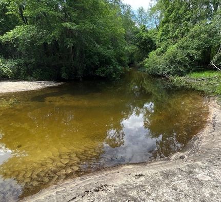 Recreational Property for sale in Santa Rosa County, Florida