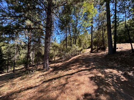 Property for sale in El Dorado County, California