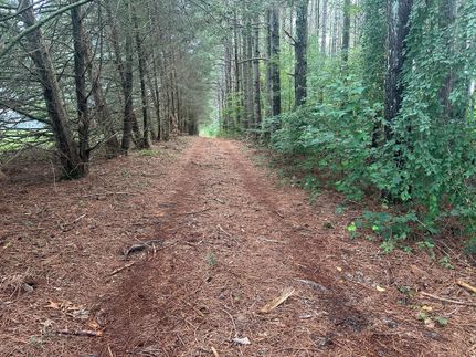 Property for sale in Wilkes County, North Carolina