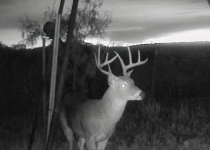 Property for sale in Nolan County, Texas