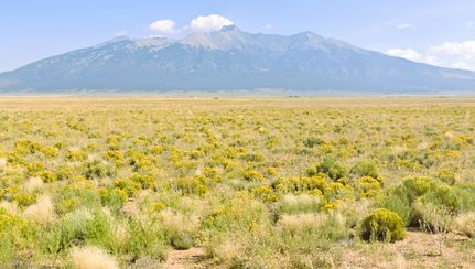 Property for sale in Costilla County, Colorado