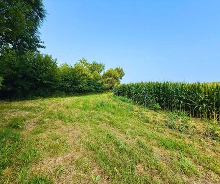 Property for sale in Ray County, Missouri