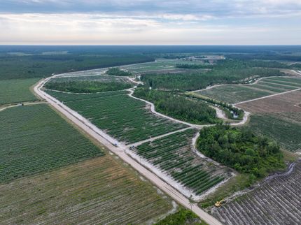 Farm Property for sale in Clinch County, Georgia