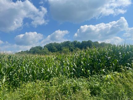 Property for sale in Polk County, Wisconsin